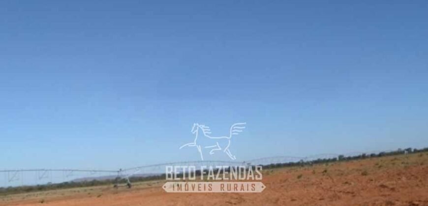Fazenda à Venda 732 Hectares com Sistema de Irrigação Pronto, Pastos e Curral Estruturado | Pirapora/MG Fazenda à Venda 732 Hectares com Sistema de Irrigação Pronto, Pastos e Curral Estruturado | Pirapora/MG