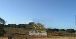 Fazenda à Venda 732 Hectares com Sistema de Irrigação Pronto, Pastos e Curral Estruturado | Pirapora/MG Fazenda à Venda 732 Hectares com Sistema de Irrigação Pronto, Pastos e Curral Estruturado | Pirapora/MG