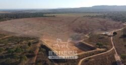 Fazenda à Venda 732 Hectares com Sistema de Irrigação Pronto, Pastos e Curral Estruturado | Pirapora/MG Fazenda à Venda 732 Hectares com Sistema de Irrigação Pronto, Pastos e Curral Estruturado | Pirapora/MG