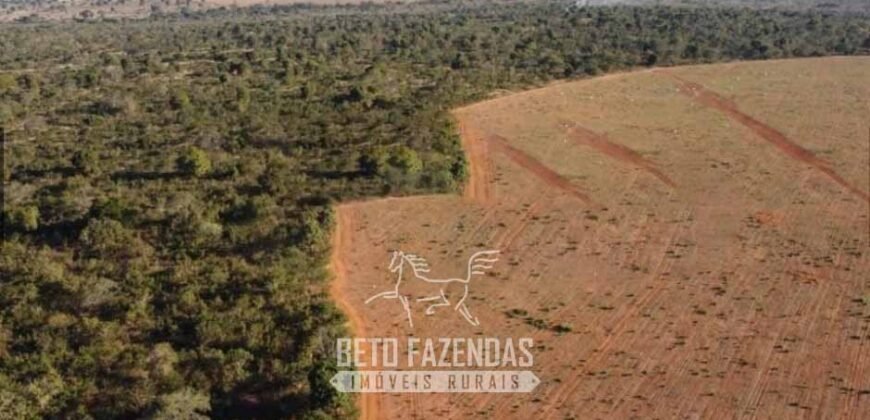 Fazenda à Venda 732 Hectares com Sistema de Irrigação Pronto, Pastos e Curral Estruturado | Pirapora/MG Fazenda à Venda 732 Hectares com Sistema de Irrigação Pronto, Pastos e Curral Estruturado | Pirapora/MG