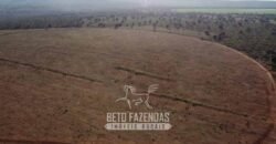 Fazenda à Venda 732 Hectares com Sistema de Irrigação Pronto, Pastos e Curral Estruturado | Pirapora/MG Fazenda à Venda 732 Hectares com Sistema de Irrigação Pronto, Pastos e Curral Estruturado | Pirapora/MG