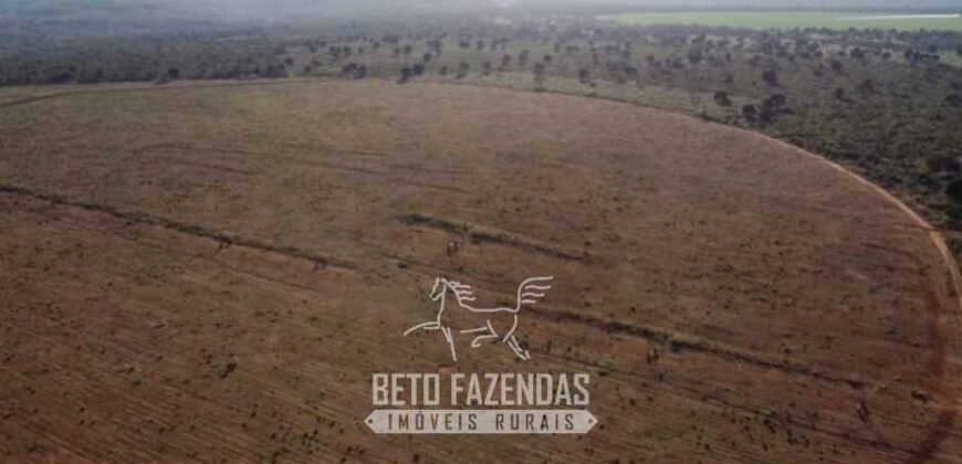 Fazenda à Venda 732 Hectares com Sistema de Irrigação Pronto, Pastos e Curral Estruturado | Pirapora/MG Fazenda à Venda 732 Hectares com Sistema de Irrigação Pronto, Pastos e Curral Estruturado | Pirapora/MG