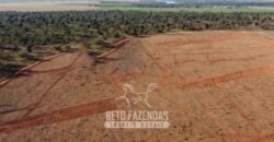 Fazenda à Venda 732 Hectares com Sistema de Irrigação Pronto, Pastos e Curral Estruturado | Pirapora/MG Fazenda à Venda 732 Hectares com Sistema de Irrigação Pronto, Pastos e Curral Estruturado | Pirapora/MG