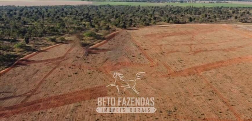 Fazenda à Venda 732 Hectares com Sistema de Irrigação Pronto, Pastos e Curral Estruturado | Pirapora/MG Fazenda à Venda 732 Hectares com Sistema de Irrigação Pronto, Pastos e Curral Estruturado | Pirapora/MG