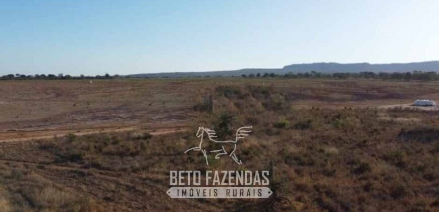 Fazenda à Venda 732 Hectares com Sistema de Irrigação Pronto, Pastos e Curral Estruturado | Pirapora/MG Fazenda à Venda 732 Hectares com Sistema de Irrigação Pronto, Pastos e Curral Estruturado | Pirapora/MG