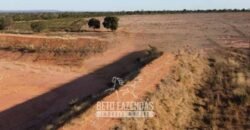 Fazenda à Venda 732 Hectares com Sistema de Irrigação Pronto, Pastos e Curral Estruturado | Pirapora/MG Fazenda à Venda 732 Hectares com Sistema de Irrigação Pronto, Pastos e Curral Estruturado | Pirapora/MG