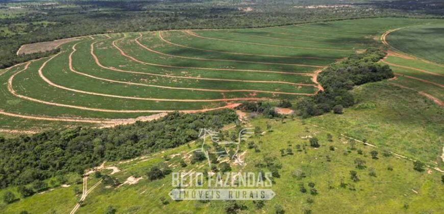 Fazenda Irrigada à Venda 1.176 Hectares Lavoura Soja, Milho e Sorgo Estrutura Completa | Lassance/ MG