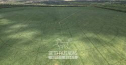 Fazenda Irrigada à Venda 1.176 Hectares Lavoura Soja, Milho e Sorgo Estrutura Completa | Lassance/ MG