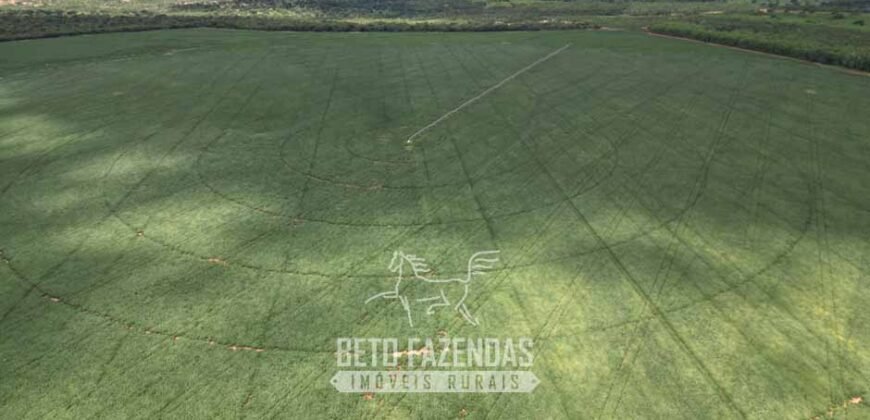 Fazenda Irrigada à Venda 1.176 Hectares Lavoura Soja, Milho e Sorgo Estrutura Completa | Lassance/ MG