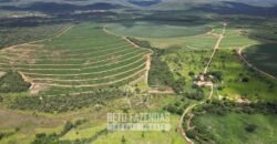 Fazenda Irrigada à Venda 1.176 Hectares Lavoura Soja, Milho e Sorgo Estrutura Completa | Lassance/ MG