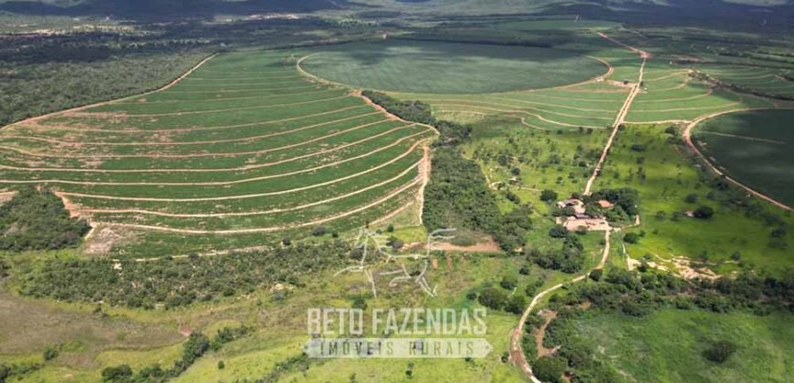 Fazenda Irrigada à Venda 1.176 Hectares Lavoura Soja, Milho e Sorgo Estrutura Completa | Lassance/ MG