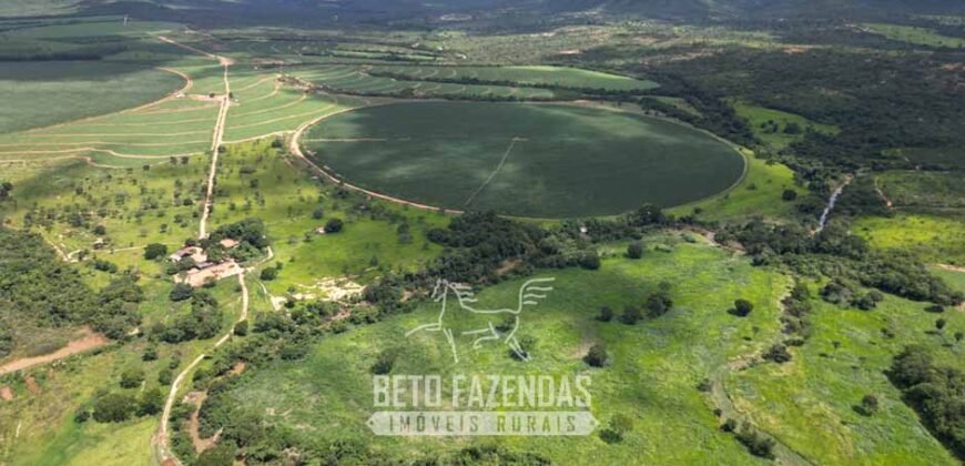 Fazenda Irrigada à Venda 1.176 Hectares Lavoura Soja, Milho e Sorgo Estrutura Completa | Lassance/ MG