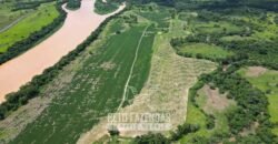 Fazenda Irrigada à Venda 1.176 Hectares Lavoura Soja, Milho e Sorgo Estrutura Completa | Lassance/ MG