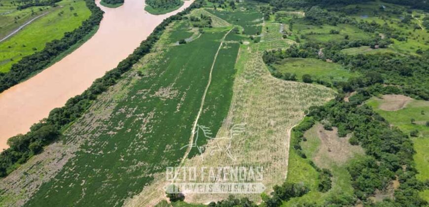 Fazenda Irrigada à Venda 1.176 Hectares Lavoura Soja, Milho e Sorgo Estrutura Completa | Lassance/ MG