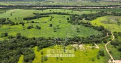 Fazenda Irrigada à Venda 1.176 Hectares Lavoura Soja, Milho e Sorgo Estrutura Completa | Lassance/ MG