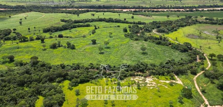 Fazenda Irrigada à Venda 1.176 Hectares Lavoura Soja, Milho e Sorgo Estrutura Completa | Lassance/ MG