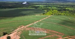 Fazenda Irrigada à Venda 1.176 Hectares Lavoura Soja, Milho e Sorgo Estrutura Completa | Lassance/ MG