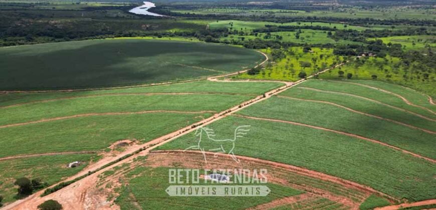 Fazenda Irrigada à Venda 1.176 Hectares Lavoura Soja, Milho e Sorgo Estrutura Completa | Lassance/ MG