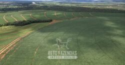 Fazenda Irrigada à Venda 1.176 Hectares Lavoura Soja, Milho e Sorgo Estrutura Completa | Lassance/ MG