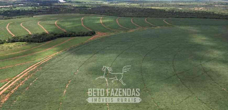 Fazenda Irrigada à Venda 1.176 Hectares Lavoura Soja, Milho e Sorgo Estrutura Completa | Lassance/ MG