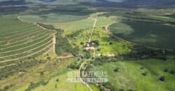 Fazenda Irrigada à Venda 1.176 Hectares Lavoura Soja, Milho e Sorgo Estrutura Completa | Lassance/ MG