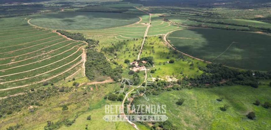 Fazenda Irrigada à Venda 1.176 Hectares Lavoura Soja, Milho e Sorgo Estrutura Completa | Lassance/ MG