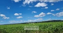 Fazenda Irrigada à Venda 1.176 Hectares Lavoura Soja, Milho e Sorgo Estrutura Completa | Lassance/ MG