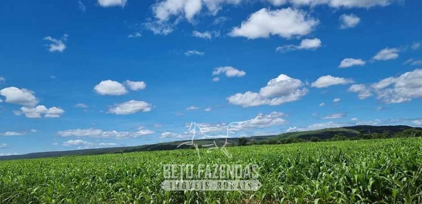 Fazenda Irrigada à Venda 1.176 Hectares Lavoura Soja, Milho e Sorgo Estrutura Completa | Lassance/ MG