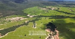 Fazenda Irrigada à Venda 1.176 Hectares Lavoura Soja, Milho e Sorgo Estrutura Completa | Lassance/ MG