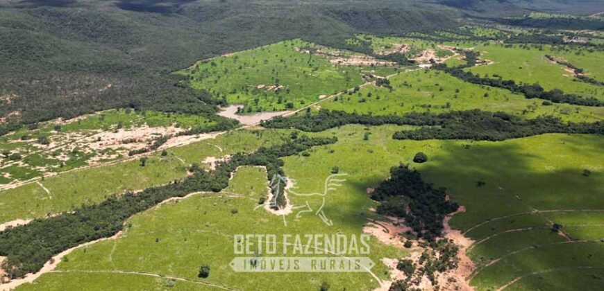 Fazenda Irrigada à Venda 1.176 Hectares Lavoura Soja, Milho e Sorgo Estrutura Completa | Lassance/ MG