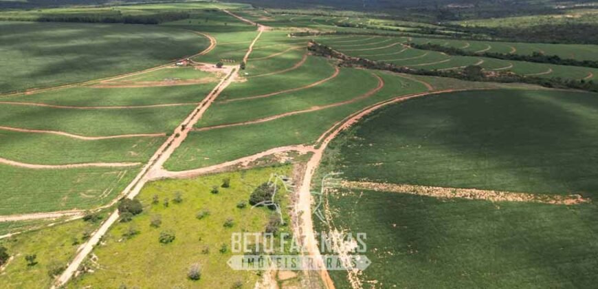 Fazenda Irrigada à Venda 1.176 Hectares Lavoura Soja, Milho e Sorgo Estrutura Completa | Lassance/ MG