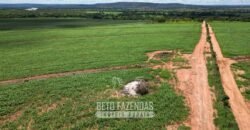 Fazenda Irrigada à Venda 1.176 Hectares Lavoura Soja, Milho e Sorgo Estrutura Completa | Lassance/ MG