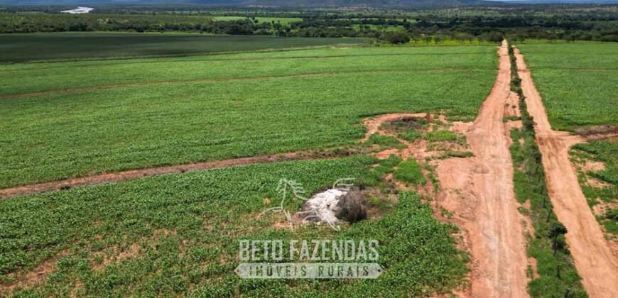 Fazenda Irrigada à Venda 1.176 Hectares Lavoura Soja, Milho e Sorgo Estrutura Completa | Lassance/ MG