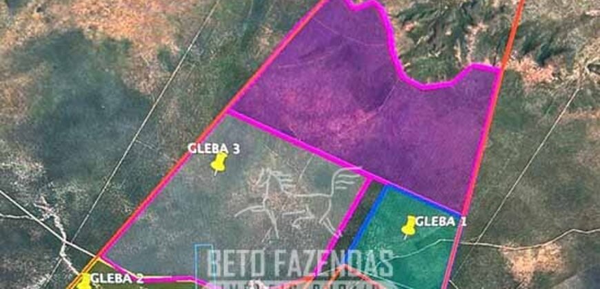 Fazenda à Venda 17.000 Hectares Aptidão Lavoura de Soja/Milho | Bonito de Minas/MG Fazenda à Venda 17.000 Hectares Aptidão Lavoura de Soja/Milho | Bonito de Minas/MG