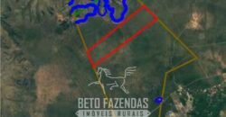 Fazenda à Venda 17.000 Hectares Aptidão Lavoura de Soja/Milho | Bonito de Minas/MG Fazenda à Venda 17.000 Hectares Aptidão Lavoura de Soja/Milho | Bonito de Minas/MG