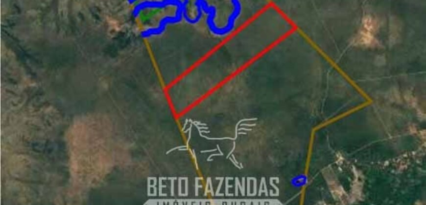 Fazenda à Venda 17.000 Hectares Aptidão Lavoura de Soja/Milho | Bonito de Minas/MG Fazenda à Venda 17.000 Hectares Aptidão Lavoura de Soja/Milho | Bonito de Minas/MG