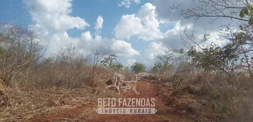 Fazenda à Venda 1.911 Hectares Aptidão para Plantio de Soja Porteira Fechada | Buritizeiro/MG