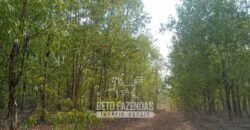 Fazenda à Venda 1.911 Hectares Aptidão para Plantio de Soja Porteira Fechada | Buritizeiro/MG