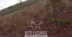 Fazenda à Venda 1.911 Hectares Aptidão para Plantio de Soja Porteira Fechada | Buritizeiro/MG