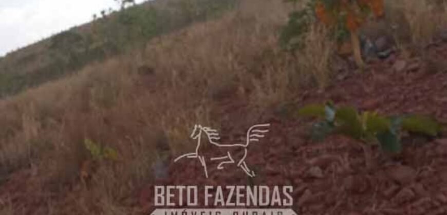 Fazenda à Venda 1.911 Hectares Aptidão para Plantio de Soja Porteira Fechada | Buritizeiro/MG