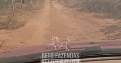 Fazenda à Venda 1.911 Hectares Aptidão para Plantio de Soja Porteira Fechada | Buritizeiro/MG