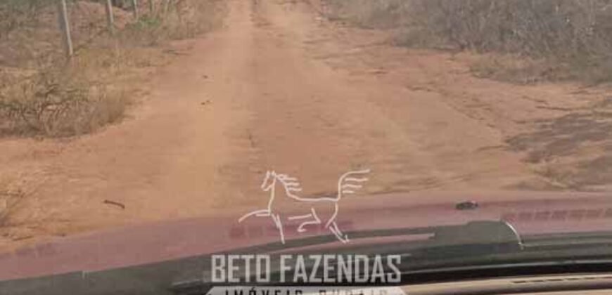 Fazenda à Venda 1.911 Hectares Aptidão para Plantio de Soja Porteira Fechada | Buritizeiro/MG