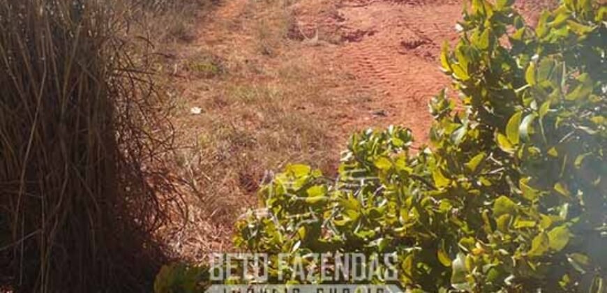 Fazenda à Venda 1.911 Hectares Aptidão para Plantio de Soja Porteira Fechada | Buritizeiro/MG