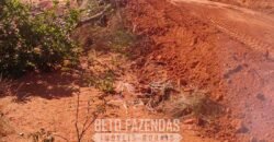 Fazenda à Venda 1.911 Hectares Aptidão para Plantio de Soja Porteira Fechada | Buritizeiro/MG
