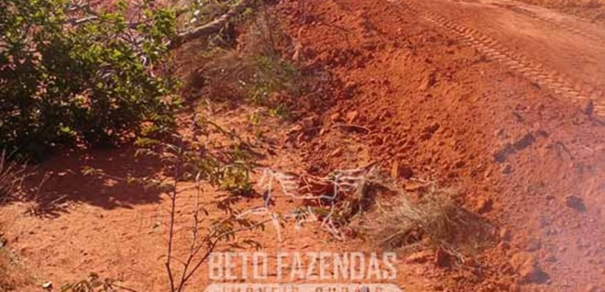 Fazenda à Venda 1.911 Hectares Aptidão para Plantio de Soja Porteira Fechada | Buritizeiro/MG