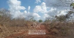 Fazenda à Venda 1.911 Hectares Aptidão para Plantio de Soja Porteira Fechada | Buritizeiro/MG