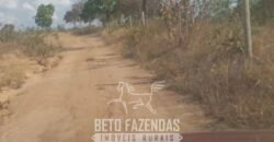 Fazenda à Venda 1.911 Hectares Aptidão para Plantio de Soja Porteira Fechada | Buritizeiro/MG