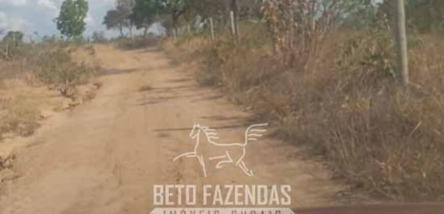 Fazenda à Venda 1.911 Hectares Aptidão para Plantio de Soja Porteira Fechada | Buritizeiro/MG