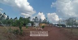 Fazenda à Venda 1.911 Hectares Aptidão para Plantio de Soja Porteira Fechada | Buritizeiro/MG