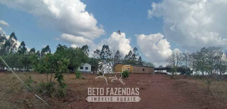 Fazenda à Venda 1.911 Hectares Aptidão para Plantio de Soja Porteira Fechada | Buritizeiro/MG